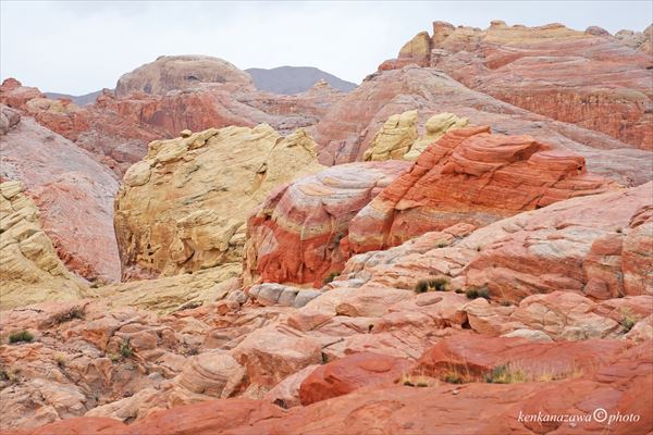 ピンクキャニオン バレーオブファイアー