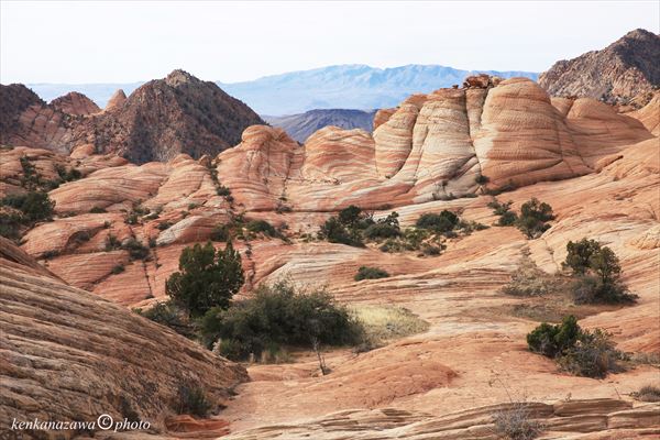 ヤントフラット (キャンディークリフ)