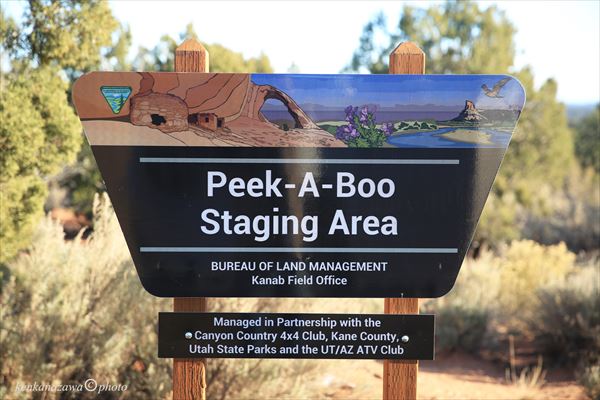 バックスキンガルチ
ピカブーガルチ