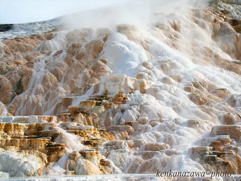 イエローストーン