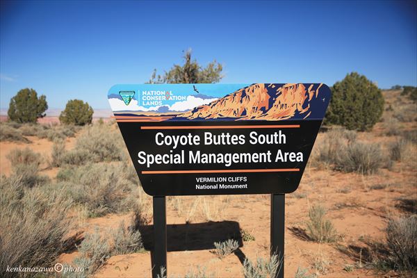 コットンウッド・コーブ
サウス・コヨーテ･ビュート