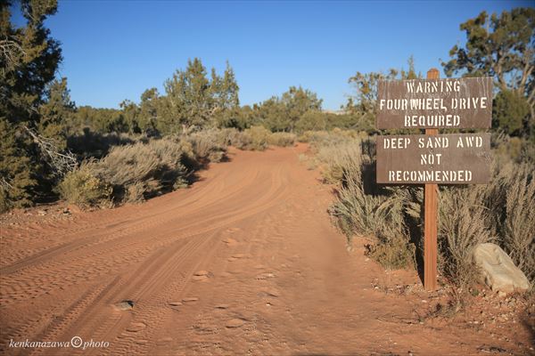 バックスキンガルチ
ピカブーガルチ