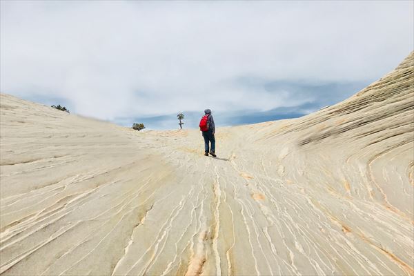 ホワイト・ウエーブ ユタ州