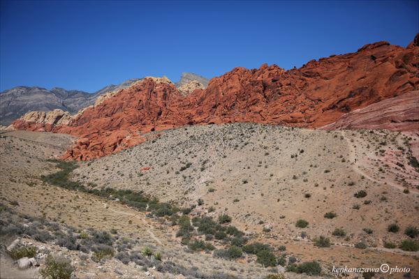 レッドロック・キャニオン