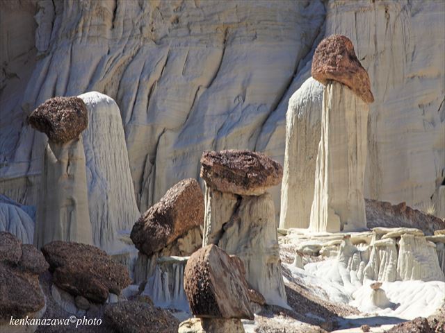 ウァーウィーブ・フ―ドゥー