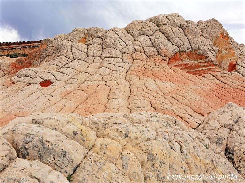 ホワイトポケット