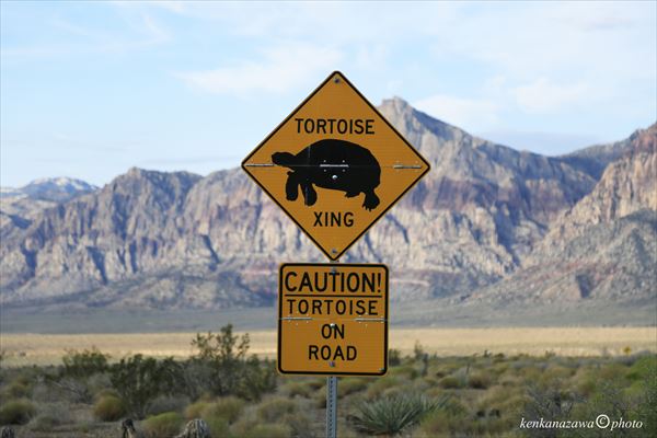 レッドロック・キャニオン