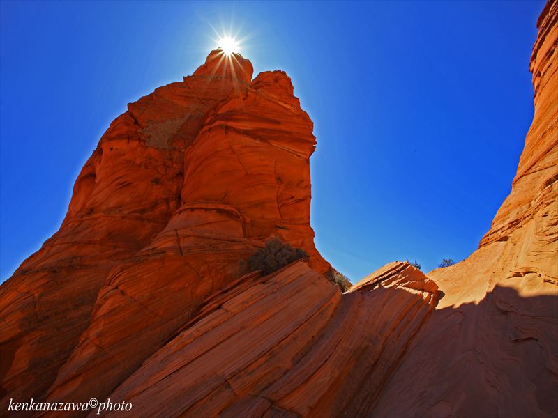 パウホールコヨーテビュートサウス