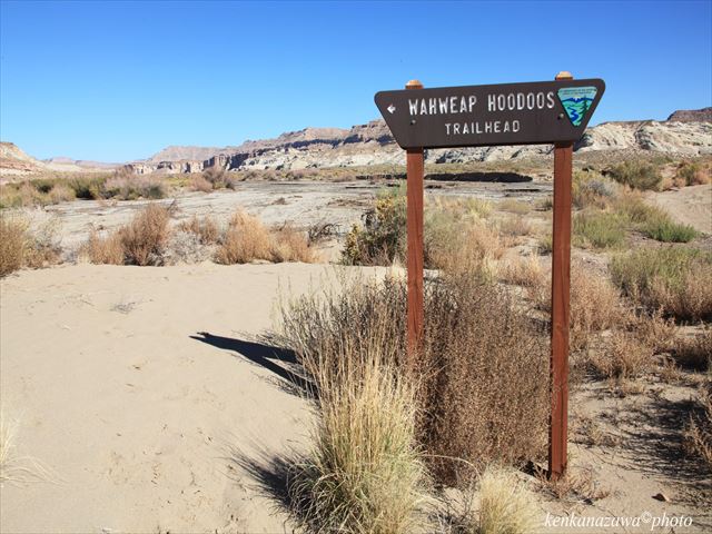 ウァーウィーブ・フ―ドゥー