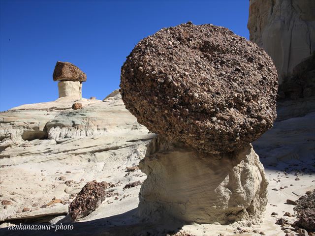 ウァーウィーブ・フ―ドゥー