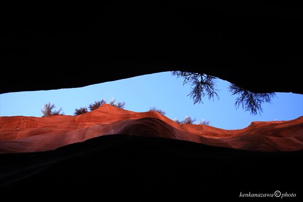 バックスキンガルチ
ピカブーガルチ