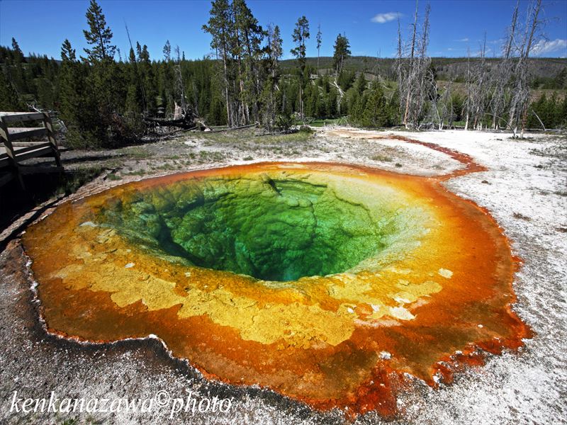 イエローストーン