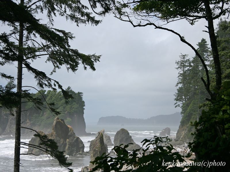 オリンピック国立公園