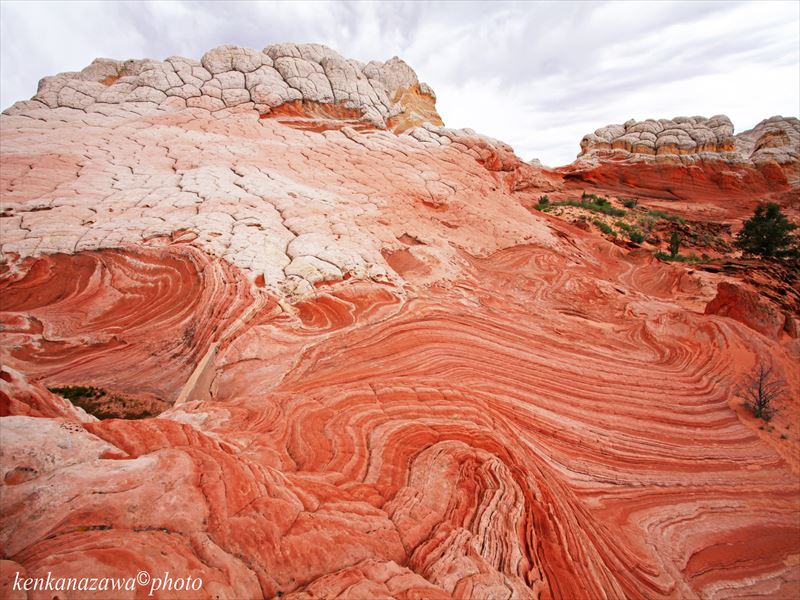 ホワイト・ポケット