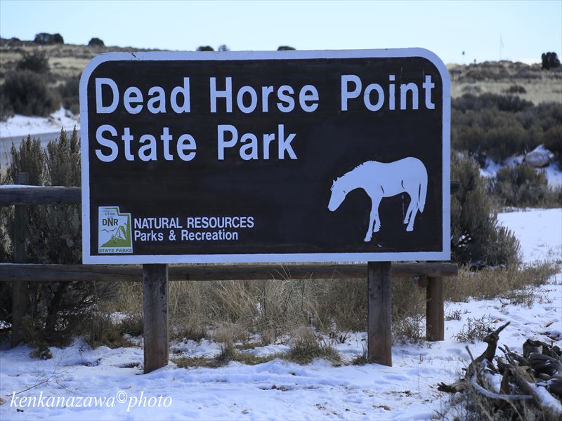 デッドホースポイント