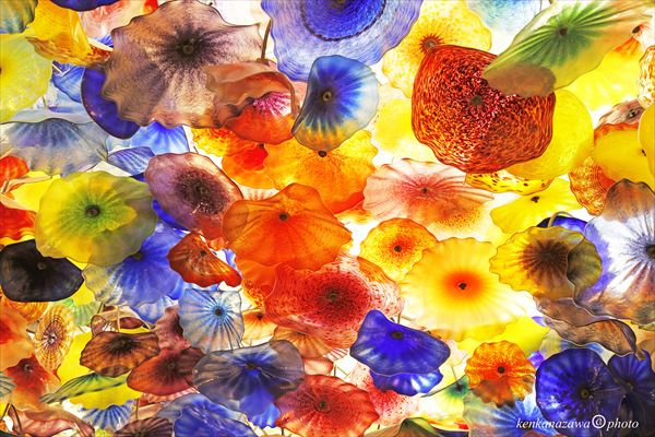 デイル・チフリー ベラージオ