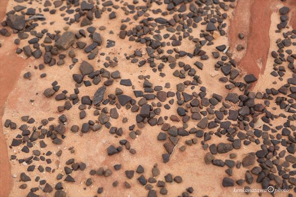 シャーマン･ストーン
モキ・ストーン