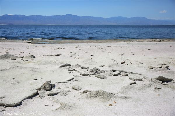 ソルトン湖 カリフォルニア州最大の湖