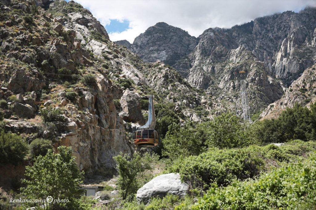 パームスプリングス