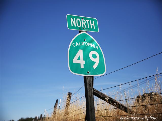 チャイニーズキャンプ