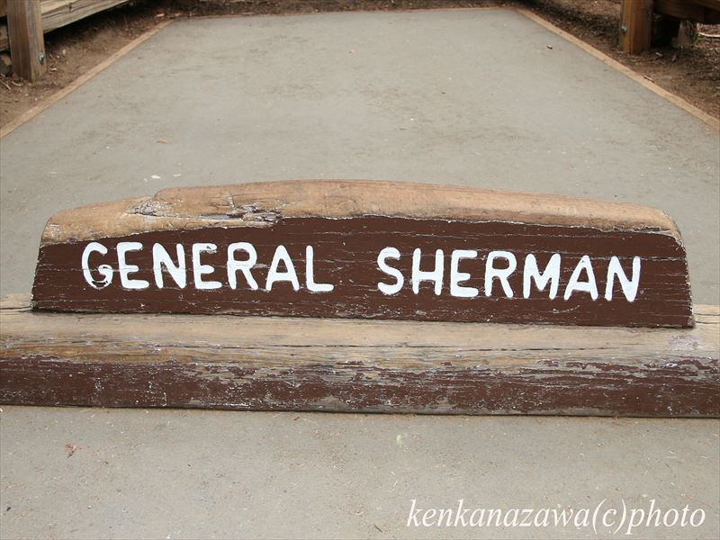 セコイア国立公園