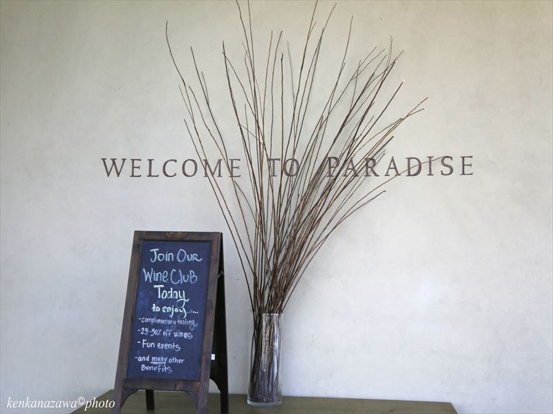 長澤 鼎（ながさわ かなえ）