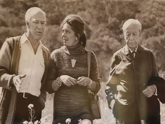 ワインの聖地 ナパバレー