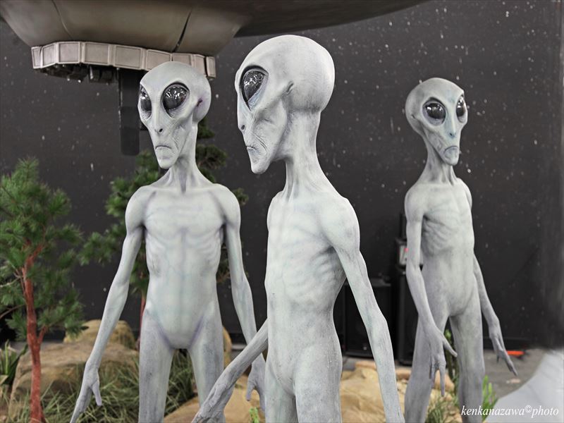 ロズウェル ニューメキシコ州